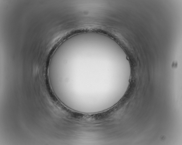 X0000092260640200709141026