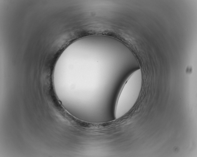 X0000092260642200709141026