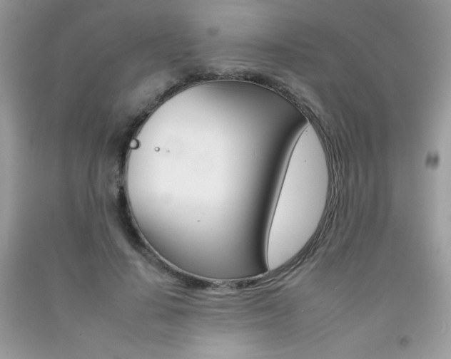 X0000092260644200709141027