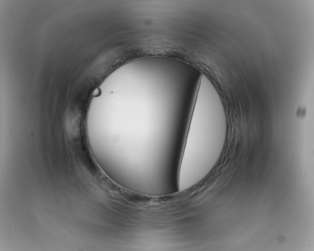 X0000092260647200709141027