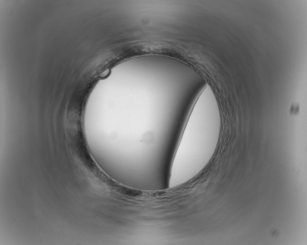 X0000092260648200709141027