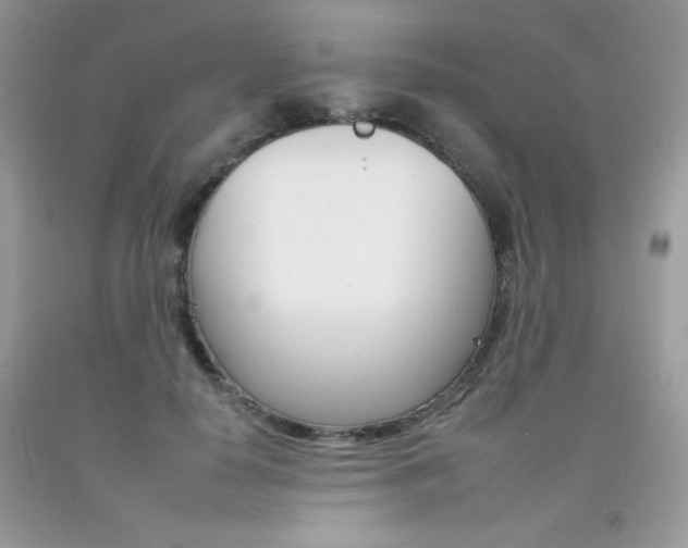 X0000092260650200709141027