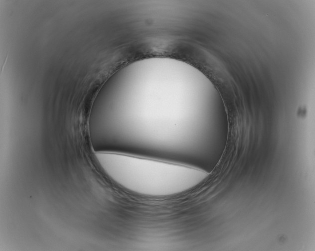 X0000092260651200709141027