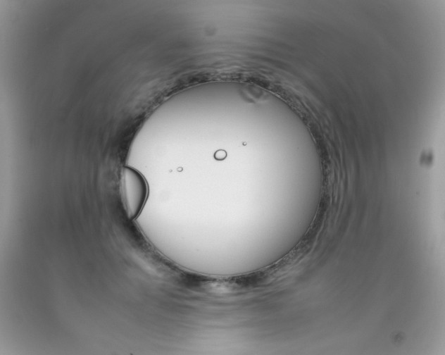 X0000092260654200709141027
