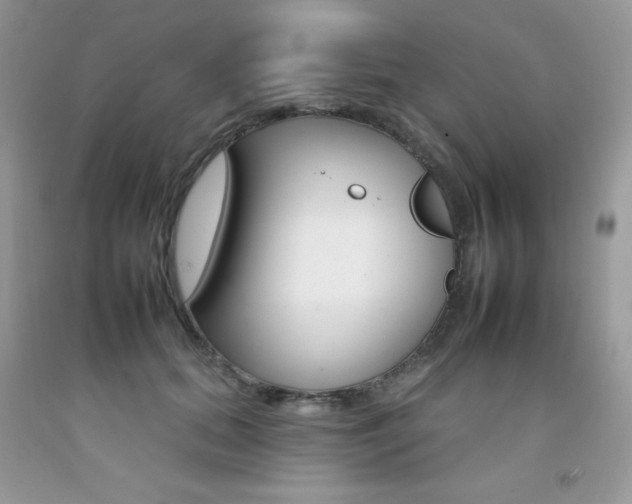 X0000092260655200709141027