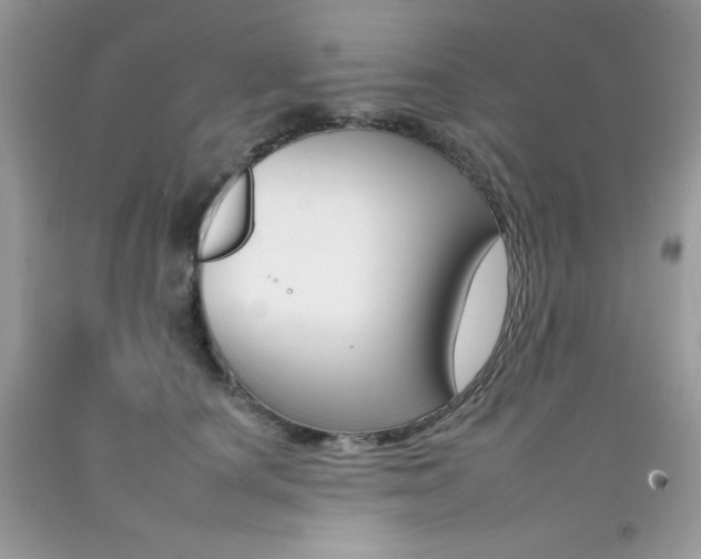 X0000092260660200709141027