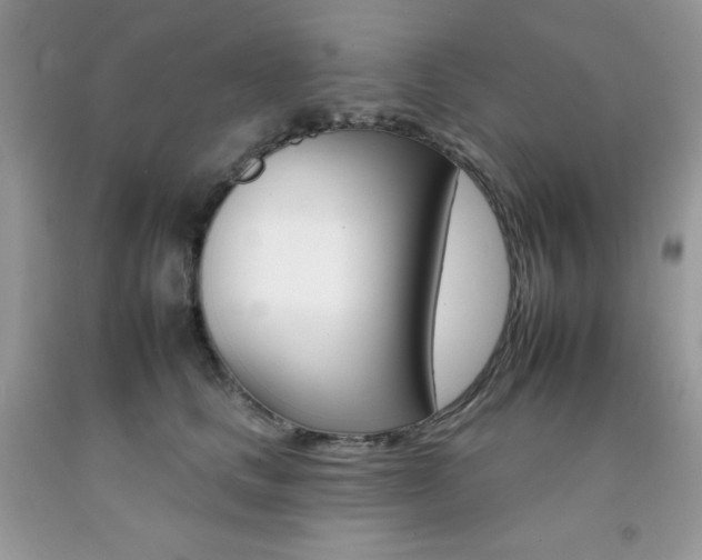 X0000092260661200709141027