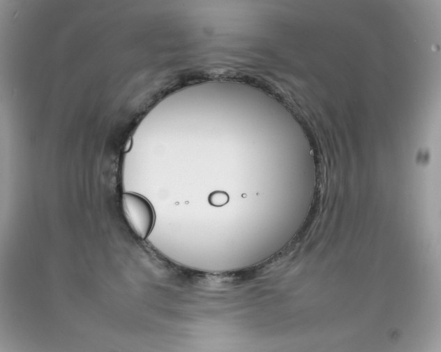 X0000092260664200709141027