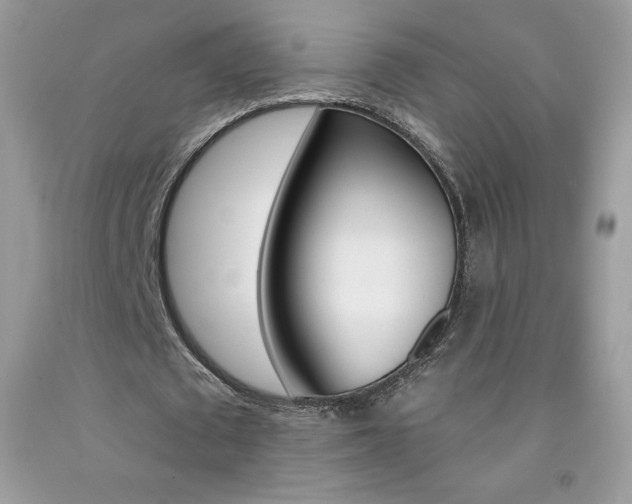 X0000092260673200709141026