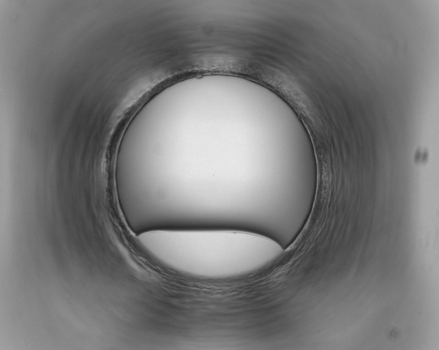 X0000092260674200709141026
