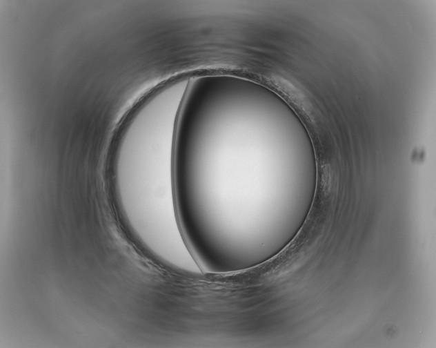 X0000092260676200709141026