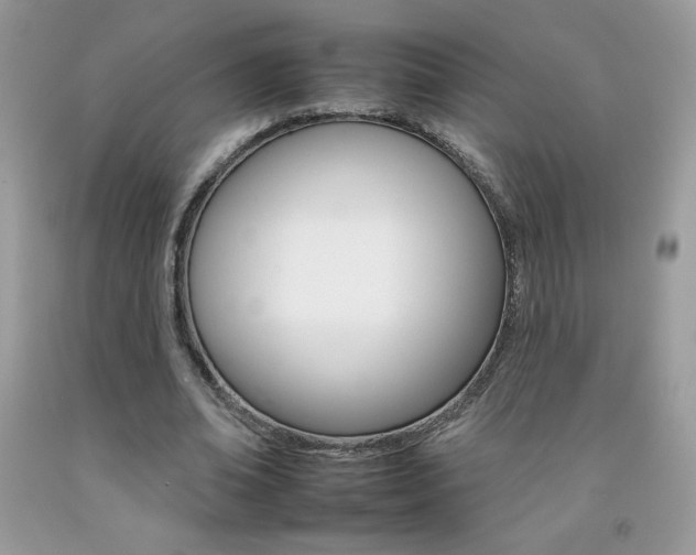X0000092260678200709141026