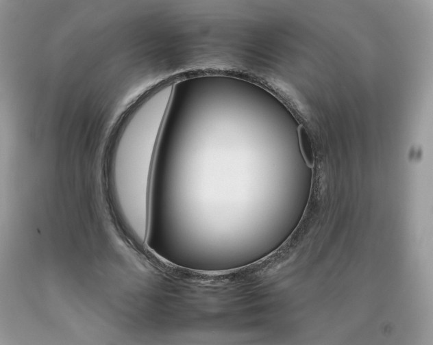 X0000092260680200709141026