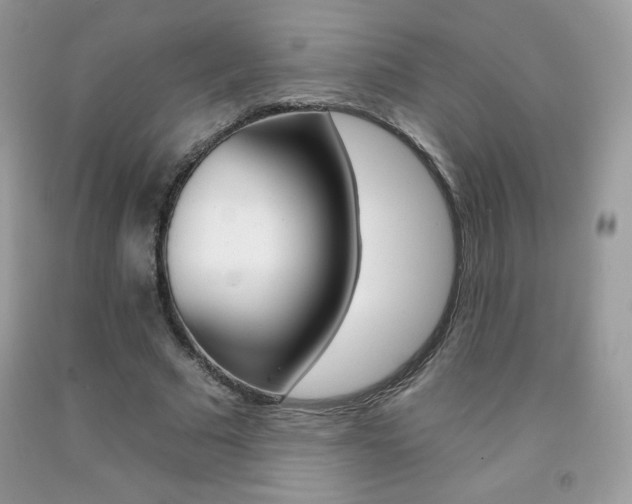 X0000092260681200709141026