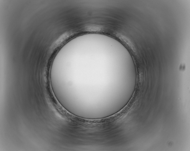 X0000092260682200709141026