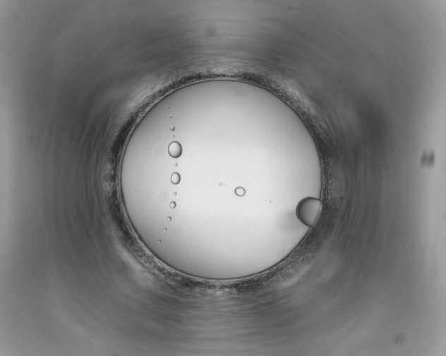 X0000092260683200709141026