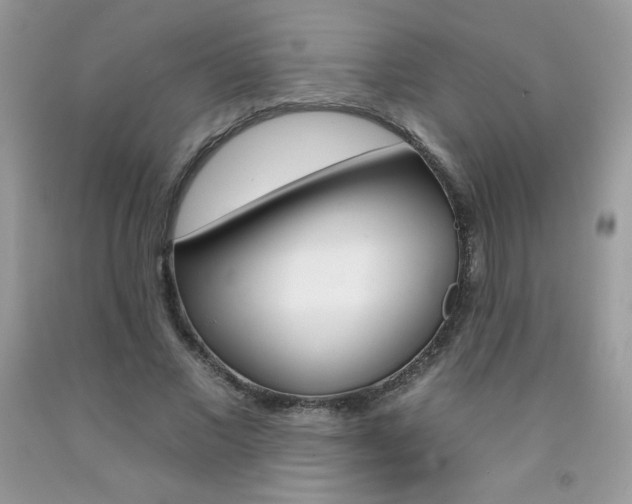 X0000092260685200709141026