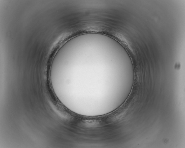 X0000092260686200709141026
