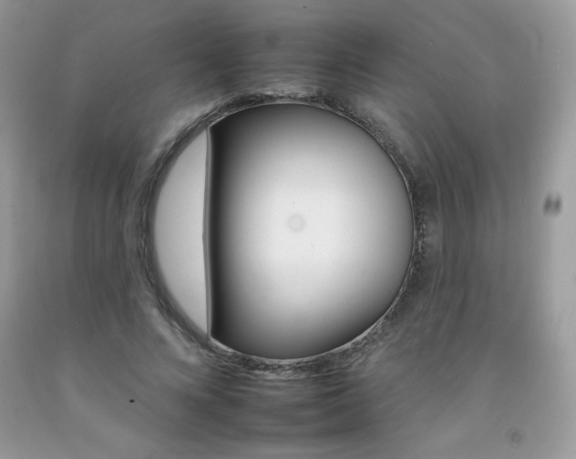 X0000092260688200709141026