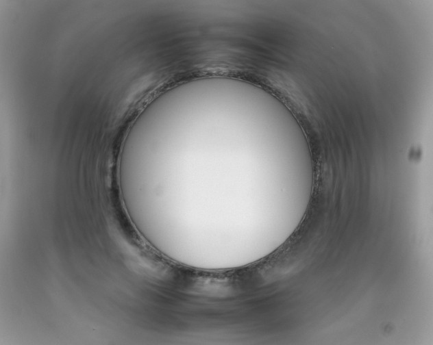 X0000092260694200709141026