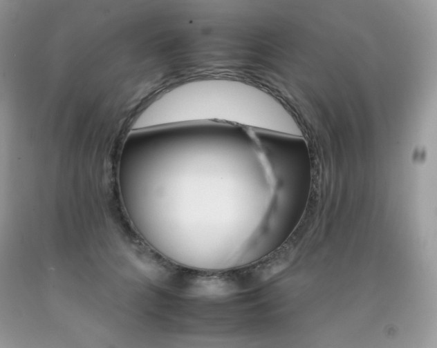 X0000092260704200709141026