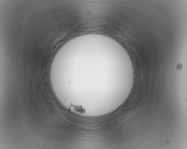 X0000092260705200709141026