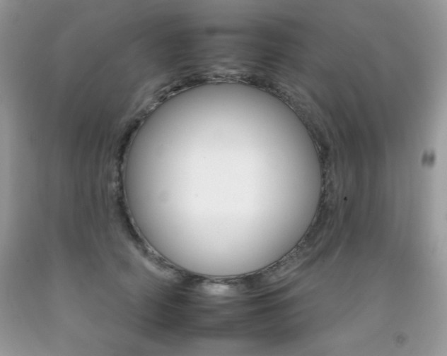 X0000092260706200709141026