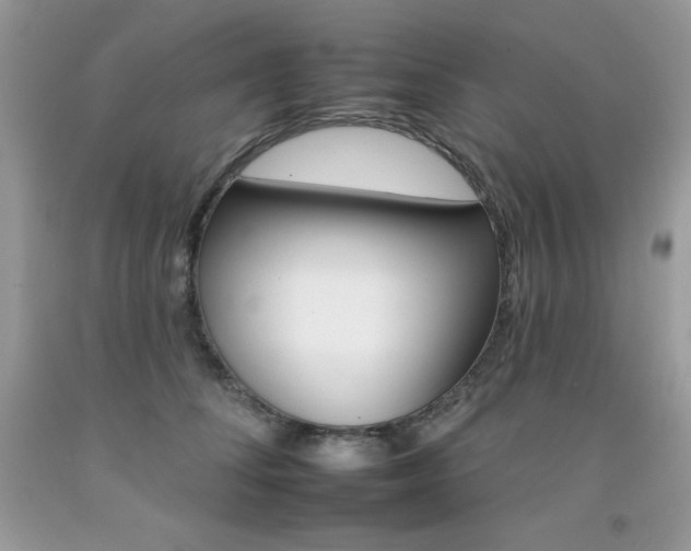 X0000092260708200709141026