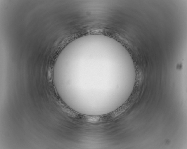 X0000092260709200709141026