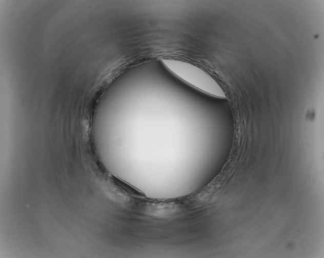 X0000092260716200709141026