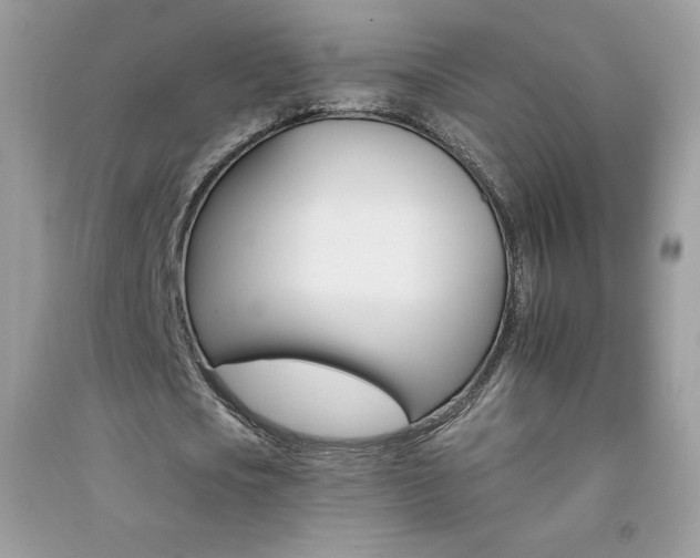 X0000092260721200709141025