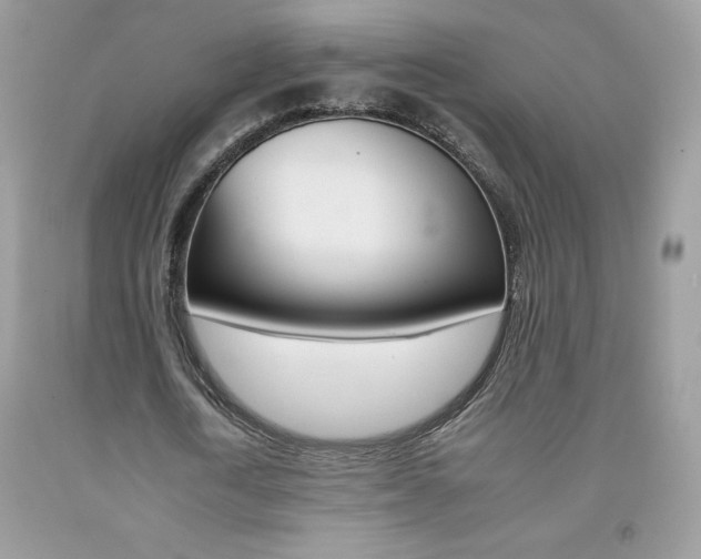 X0000092260722200709141025