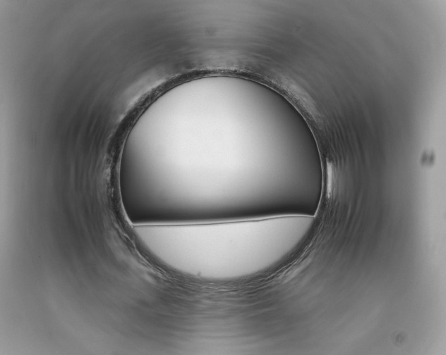 X0000092260723200709141025