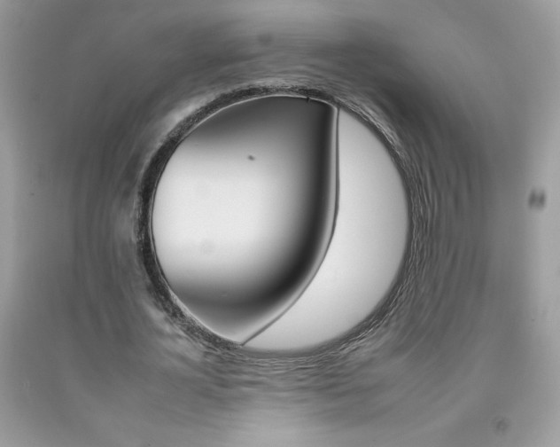 X0000092260724200709141025