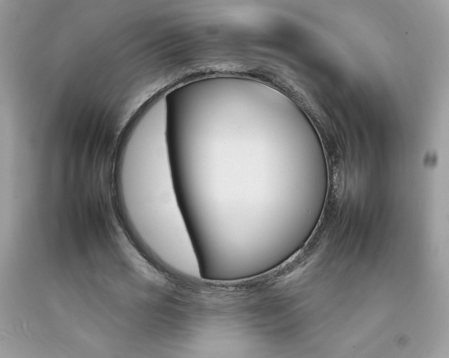 X0000092260725200709141025