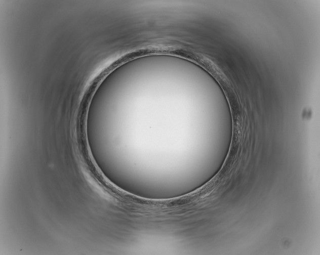 X0000092260726200709141025