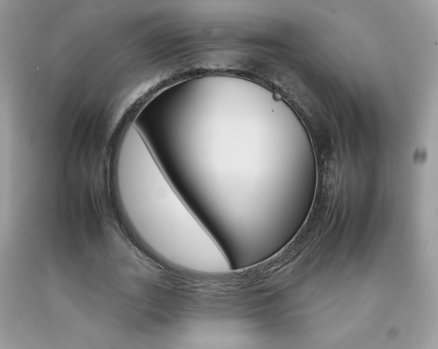 X0000092260727200709141025