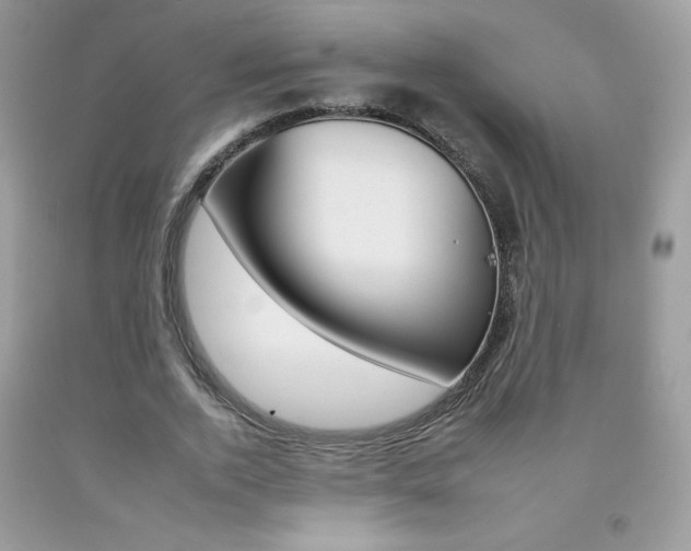 X0000092260728200709141025