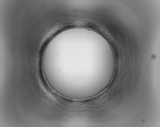 X0000092260730200709141025