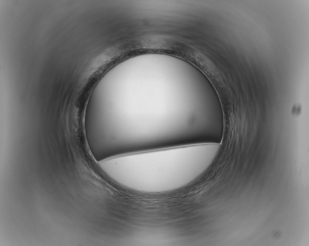 X0000092260731200709141025