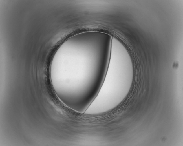 X0000092260732200709141025