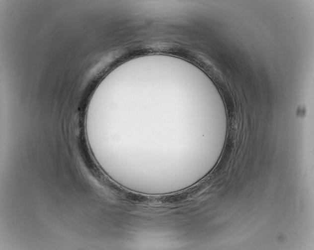X0000092260734200709141025
