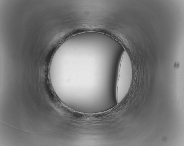 X0000092260736200709141025