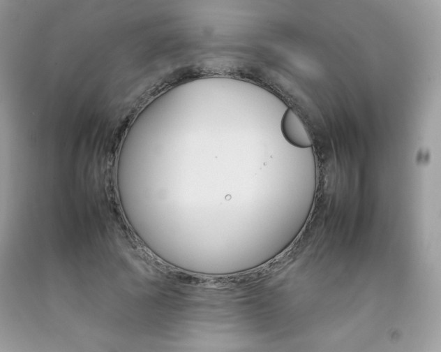 X0000092260737200709141025