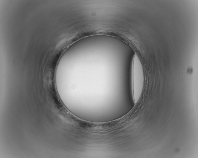 X0000092260740200709141025