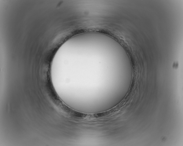 X0000092260742200709141025