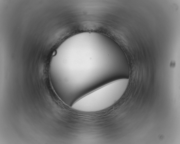 X0000092260743200709141025