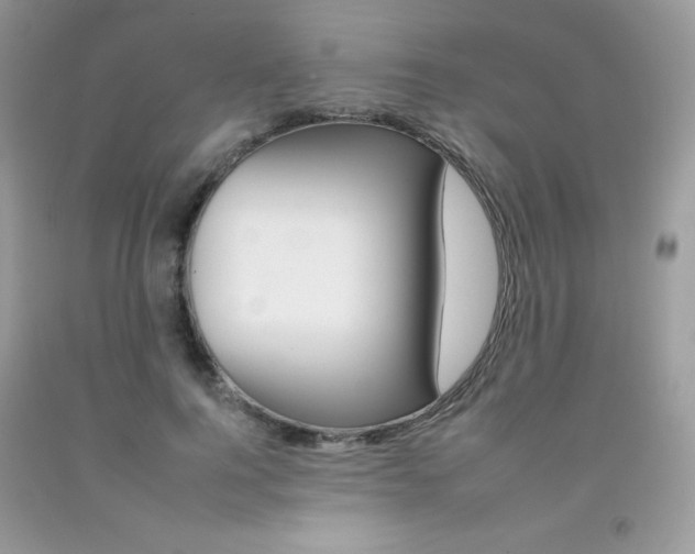 X0000092260744200709141025