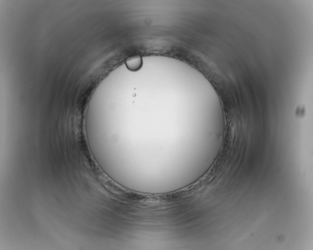 X0000092260745200709141025