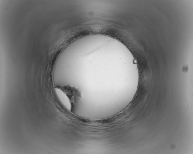 X0000092260746200709141025